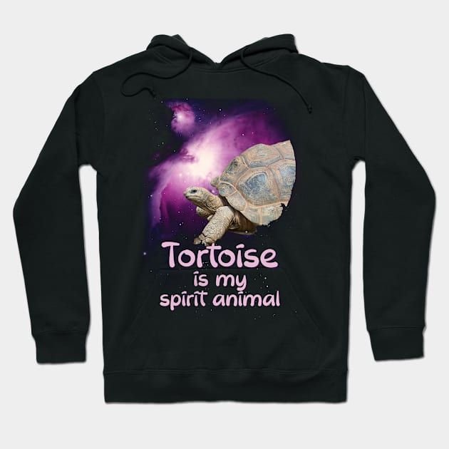 Tortoise is my Spirit Animal, Tortoise Lover Gift Hoodie by Fusti